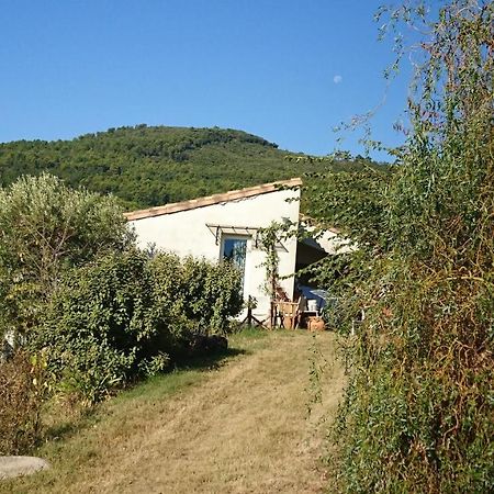 Maison De Campagne L'Etang Apartment Seillans Exterior photo