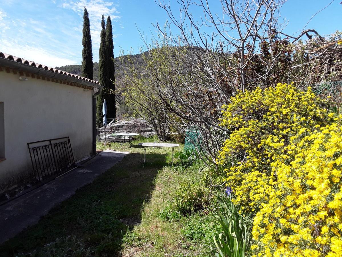 Maison De Campagne L'Etang Apartment Seillans Room photo